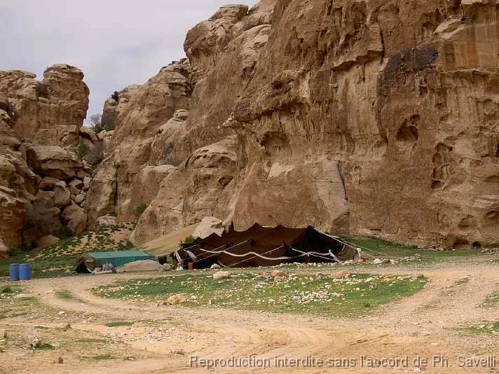 PICT2835 Une tente bdouine  l'entre de Little PETRA