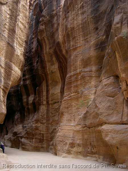 PICT2874 Dans le Siq de PETRA