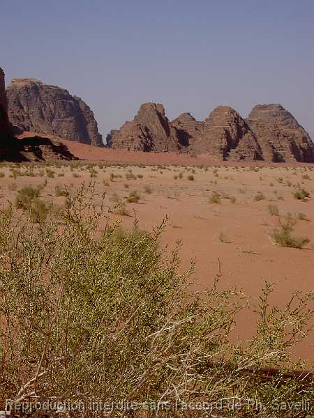 PICT3039 Dsert du WADI RUM