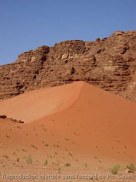 PICT3044 Dsert du WADI RUM