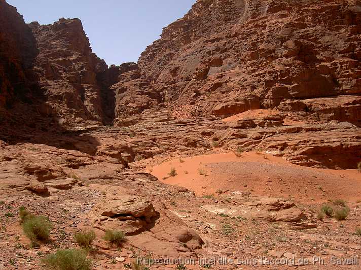 PICT3057 Dsert du WADI RUM