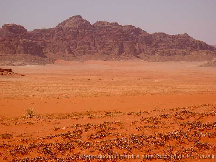 PICT3076 Dsert du WADI RUM