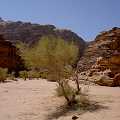 PICT3036 Dsert du WADI RUM