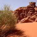 PICT3071 Dsert du WADI RUM