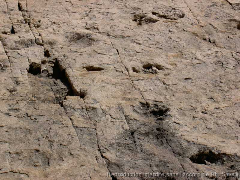 PICT0620 Les Traces de Dinosaures
